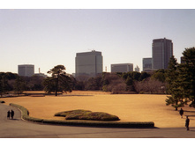 File0102.jpg