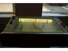 img 040.jpg