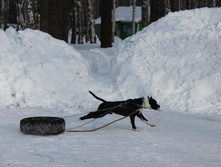 IMG_2040.JPG