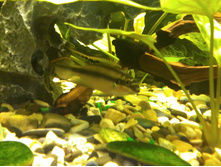 ����-0046.jpg
