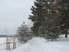 DSCN3646.JPG