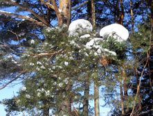 DSCN3807.JPG