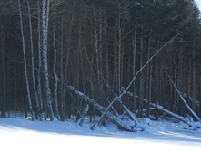 DSCN3815.JPG