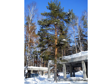 DSCN3854.JPG
