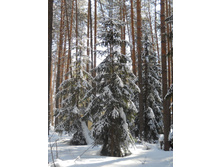 DSCN3866.JPG