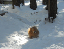 DSCN3868.JPG