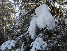 DSCN3871.JPG