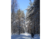 DSCN3872.JPG
