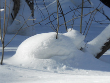 DSCN3878.JPG
