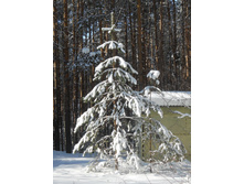 DSCN3892.JPG