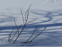 DSCN3900.JPG