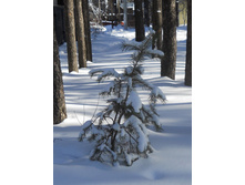 DSCN3903.JPG