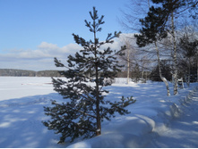 DSCN3916.JPG