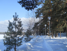 DSCN3919.JPG