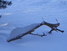 DSCN3920.JPG