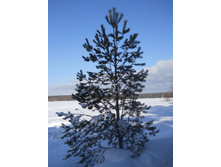 DSCN3921.JPG