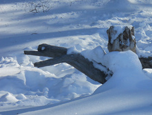 DSCN3926.JPG