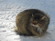 DSCN3934.JPG