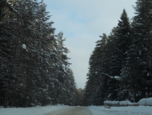 DSCN3960.JPG