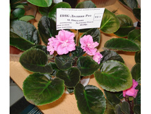 DSC04300.JPG