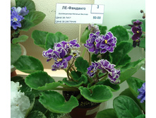 DSC04324.JPG
