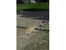 08.03.2011 11:38:09
