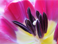 IMG_0319_copy.JPG