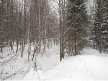 DSCN0020s.JPG
