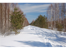 DSC_6633.jpg
