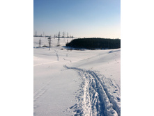 IMG_0732.JPG