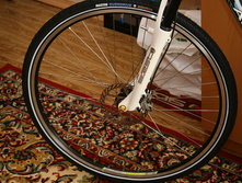 IMG_9782_resize.JPG