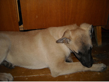 DSCN1825.JPG