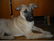 DSCN1827.JPG