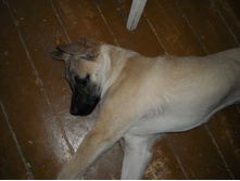 DSCN1831.JPG