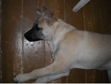 DSCN1833.JPG