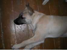 DSCN1834.JPG