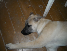 DSCN1837.JPG