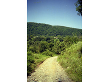 File0062.jpg
