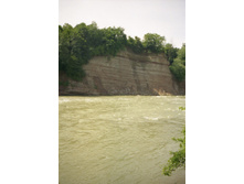 File0082.jpg