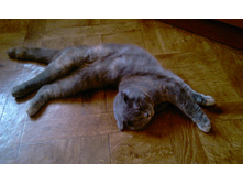 IMAG0339.jpg