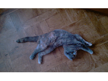 IMAG0340.jpg