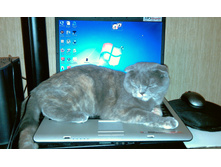IMAG0403.jpg