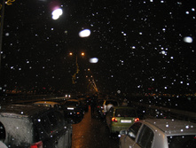 IMG_9525.JPG