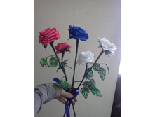 IMG20110314_002.jpg
