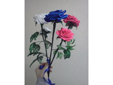 IMG20110314_001.jpg