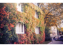 File001.jpg