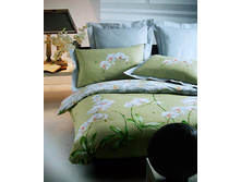 orchidea2.jpg