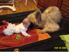 DSC01330.JPG