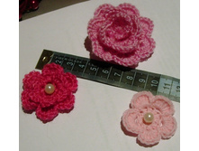 DSCN6112.JPG
