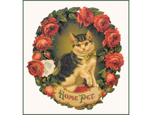 14749460_1200326321_bscsiHomePet.jpg